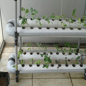 hydroponics-system